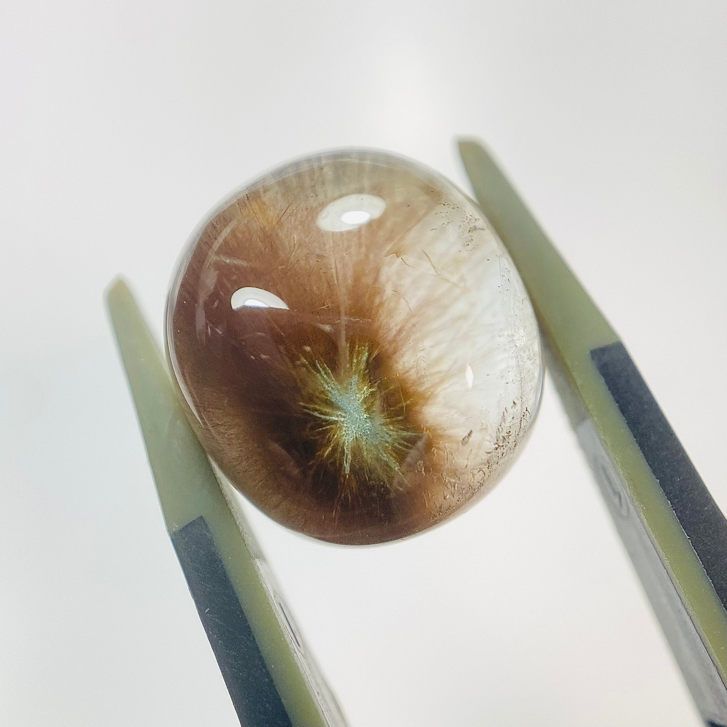 2024新種 ポンポンクオーツ