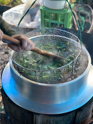 高木農園とペルトナーレの上勝阿波晩茶100g