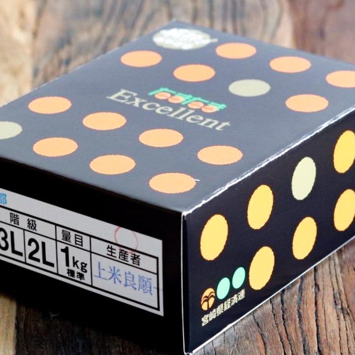 宮崎県産）完熟金柑たまたま（エクセレント） | dreamkeinomi