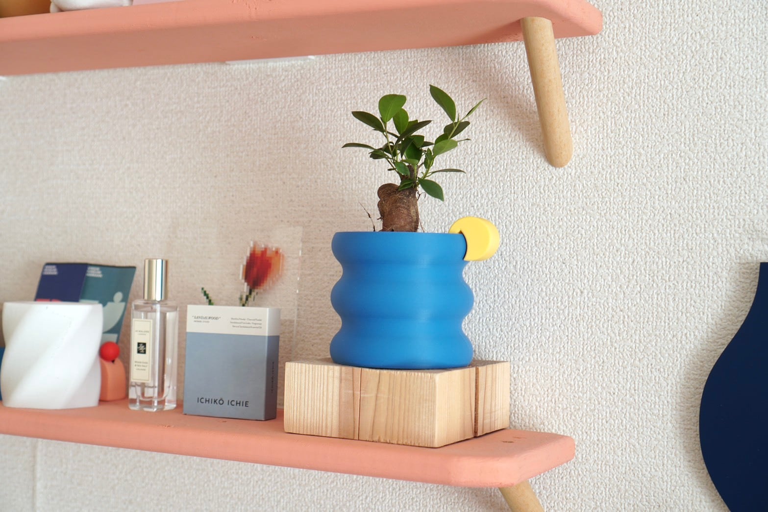 アクセサリー mocomoco ACCESSORY CASE
