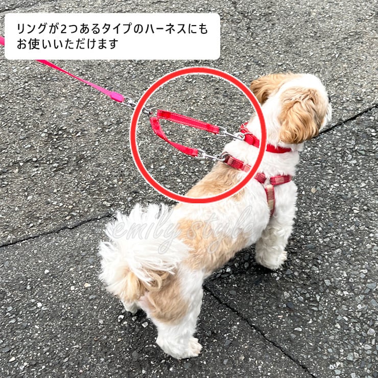 ダブルナスカンリード】 7色 ジョイントリード フック すっぽ抜け防止