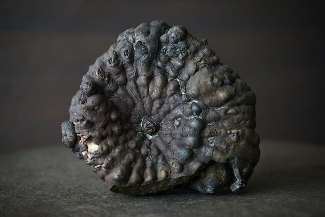 アポフィライト/スティルバイト/カルセドニー 　Apophyllite/Stilbite/Chalcedony 859