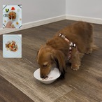 豆乳こうじ入りの ふっくら発酵ポークわんバーグ（2個入り × 1袋／冷凍）