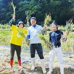 にんにく1kg(農薬・化学肥料・除草剤不使用)