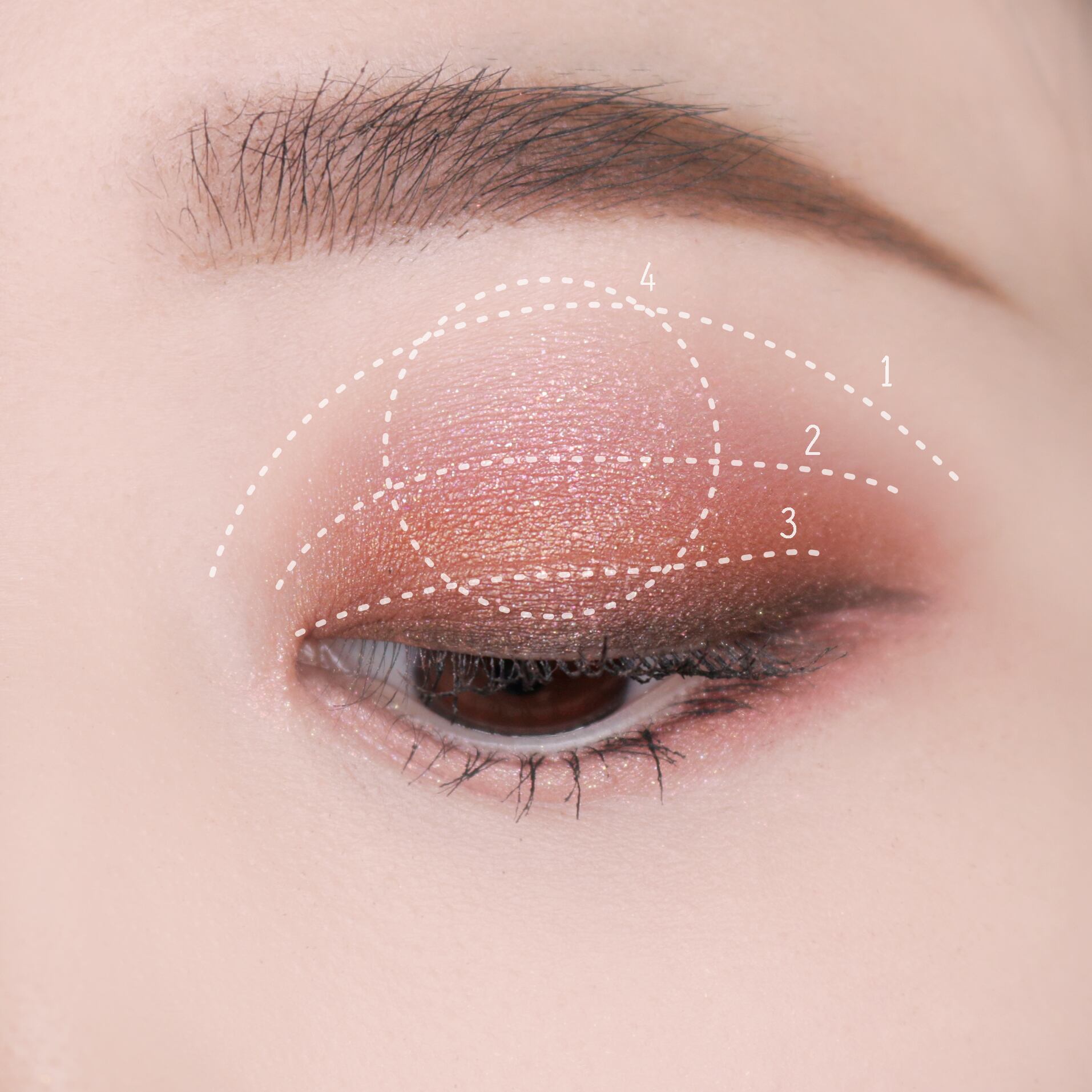 MARS！未使用！アイシャドーパレット、まつげカーラ、ミラーセット！