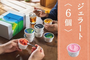 【夏の贈り物】 季節のジェラート6個入　*日時指定可能
