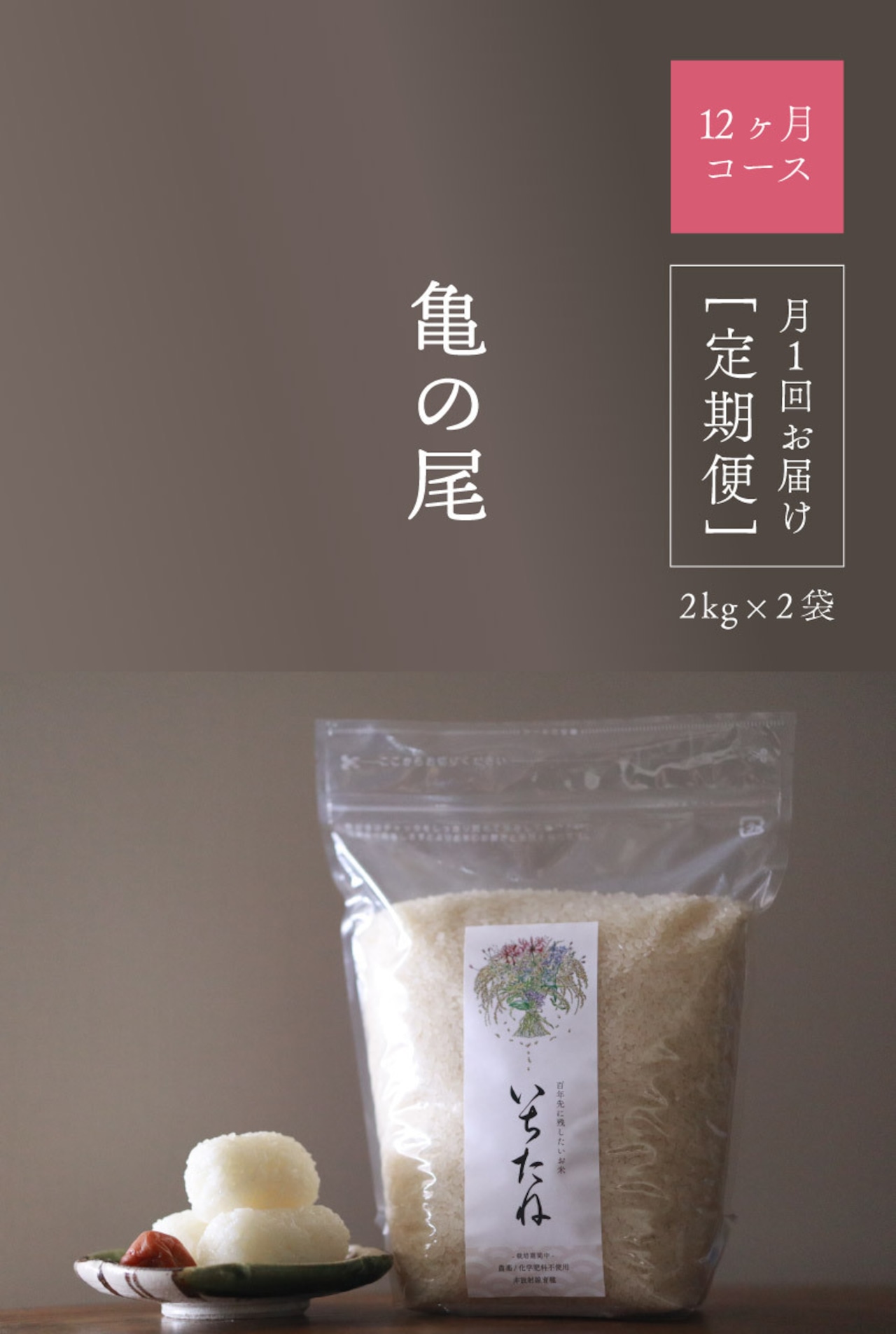 <定期配送>「亀の尾」令和7年産 白米2kg×2袋(12回) ※本州・四国・九州は送料無料