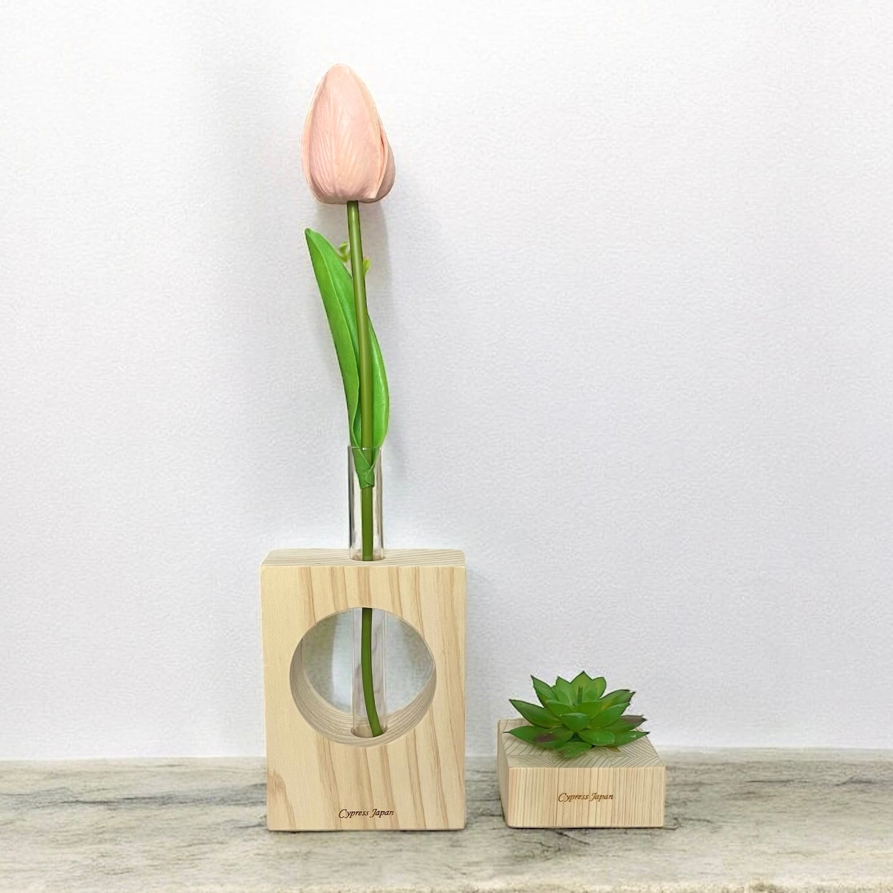 檜多肉植物・角S | Cypress Japan