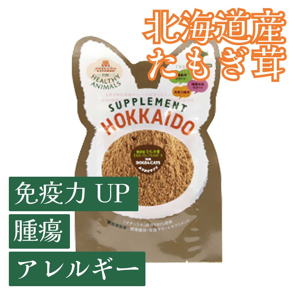 北海道産 たもぎ茸濃縮エキス（粉末タイプ）25g（無添加・無着色）【犬