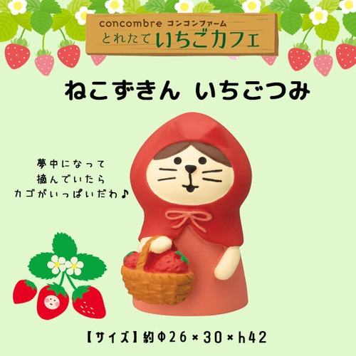 コンコンブル いちごカフェ ねこずきん いちごつみ