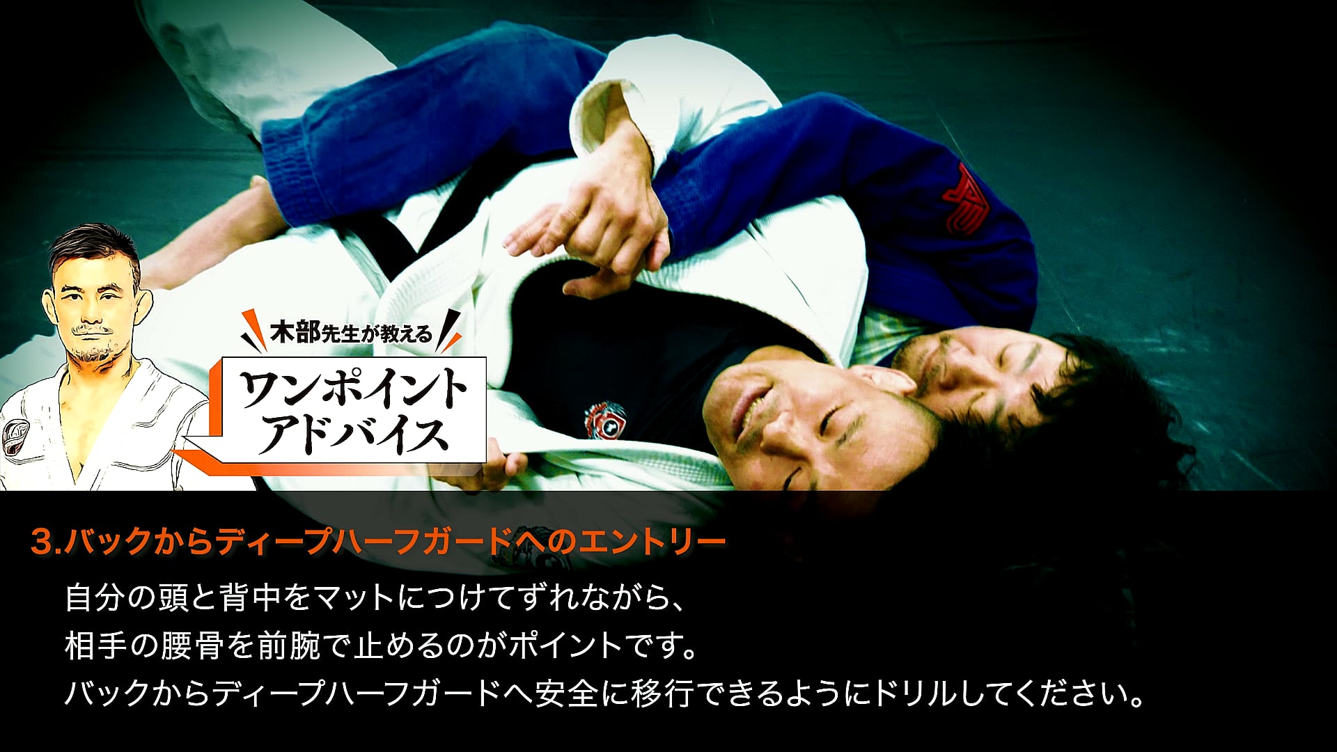 111 柔術DVD カイオテハ 111 HALF GUARD 日本語解説付 ハーフガード