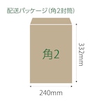 OSAWA CRAFT GREEN TEA（12包入り×1袋）送料込み！