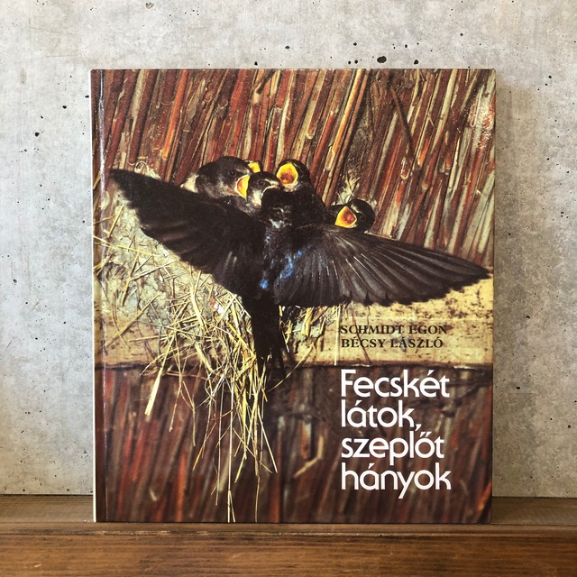ハンガリーのツバメの本　FECSKET LATOK, SZEPLOT
