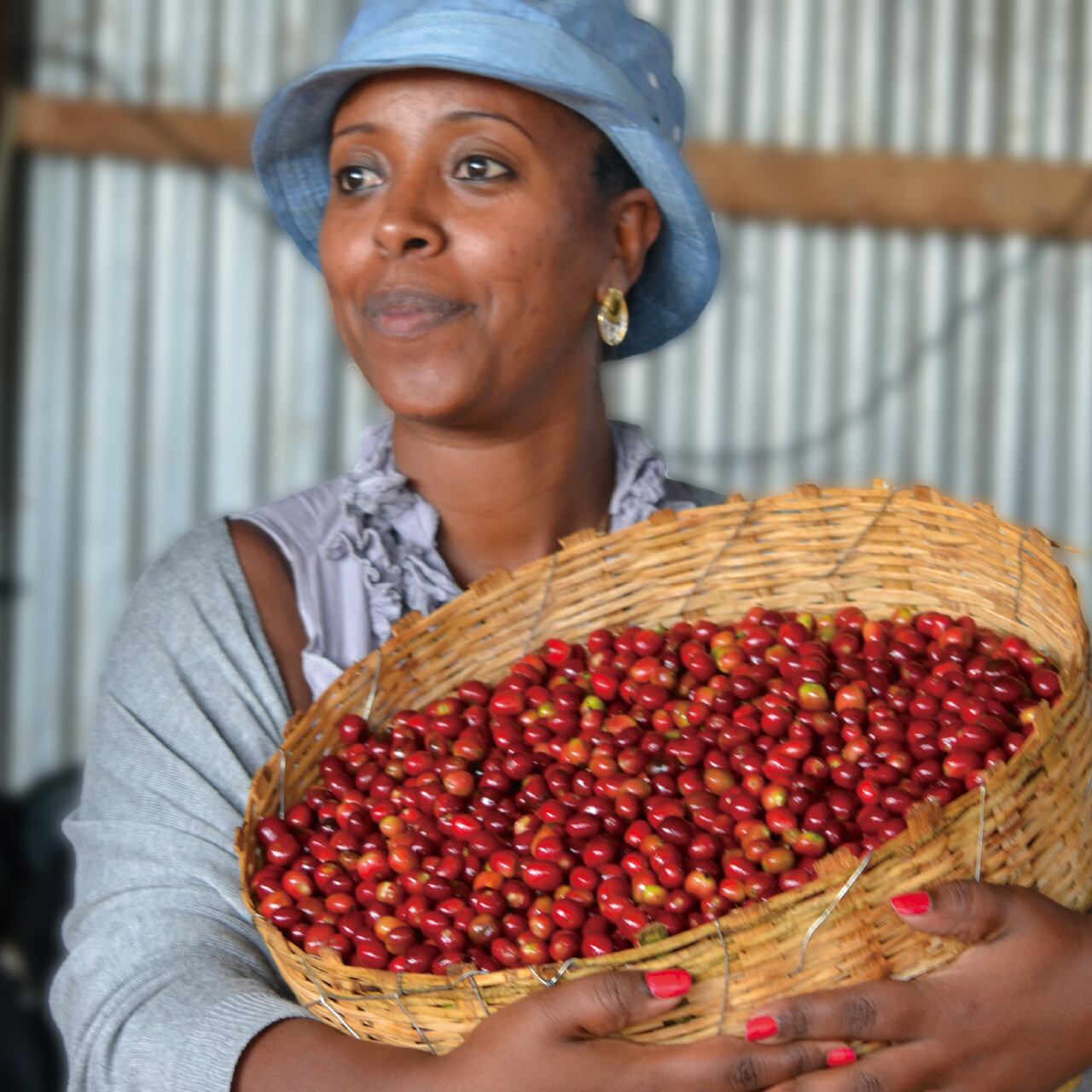 エチオピア ガルガリグティティ 24/25 ウォッシュト生豆 500g