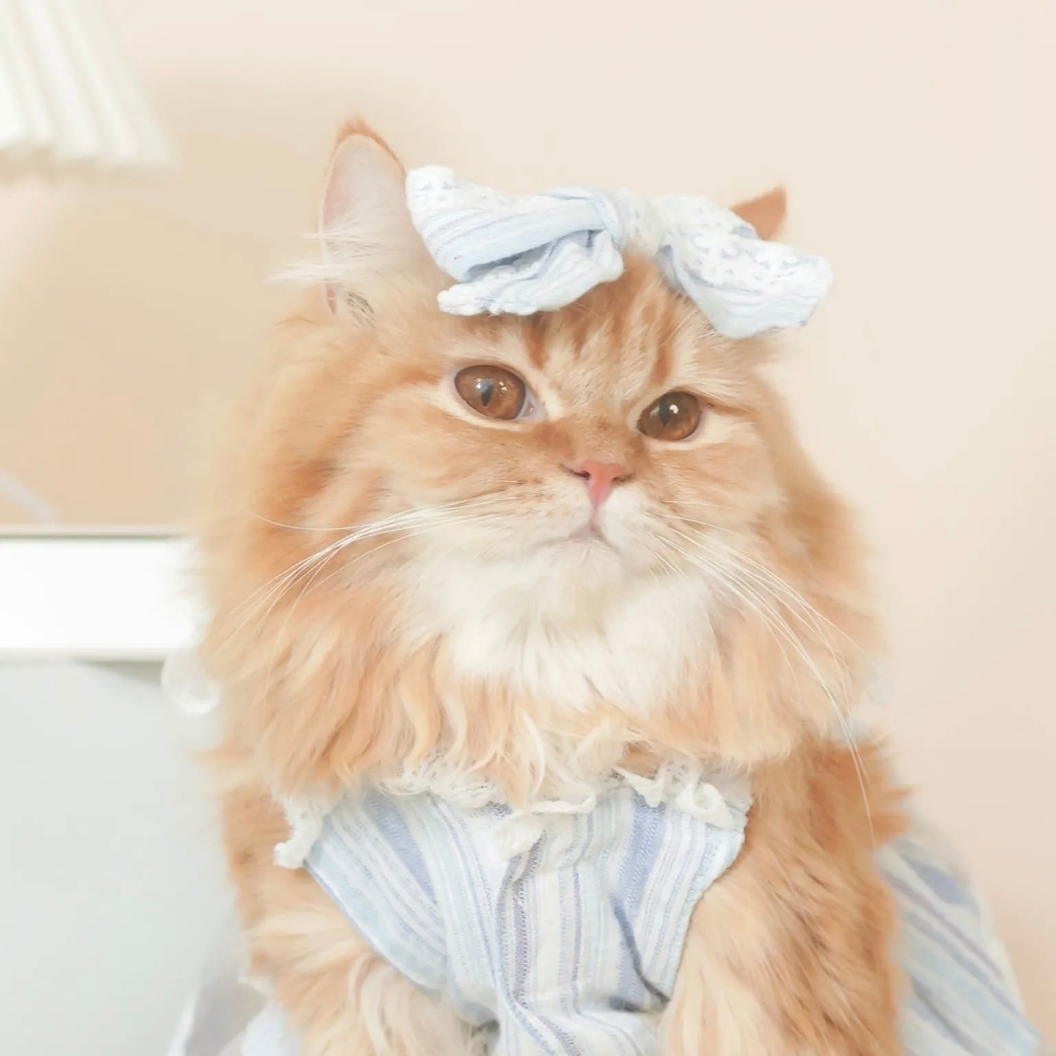 Sunkissed – Ribbon Hair Pin