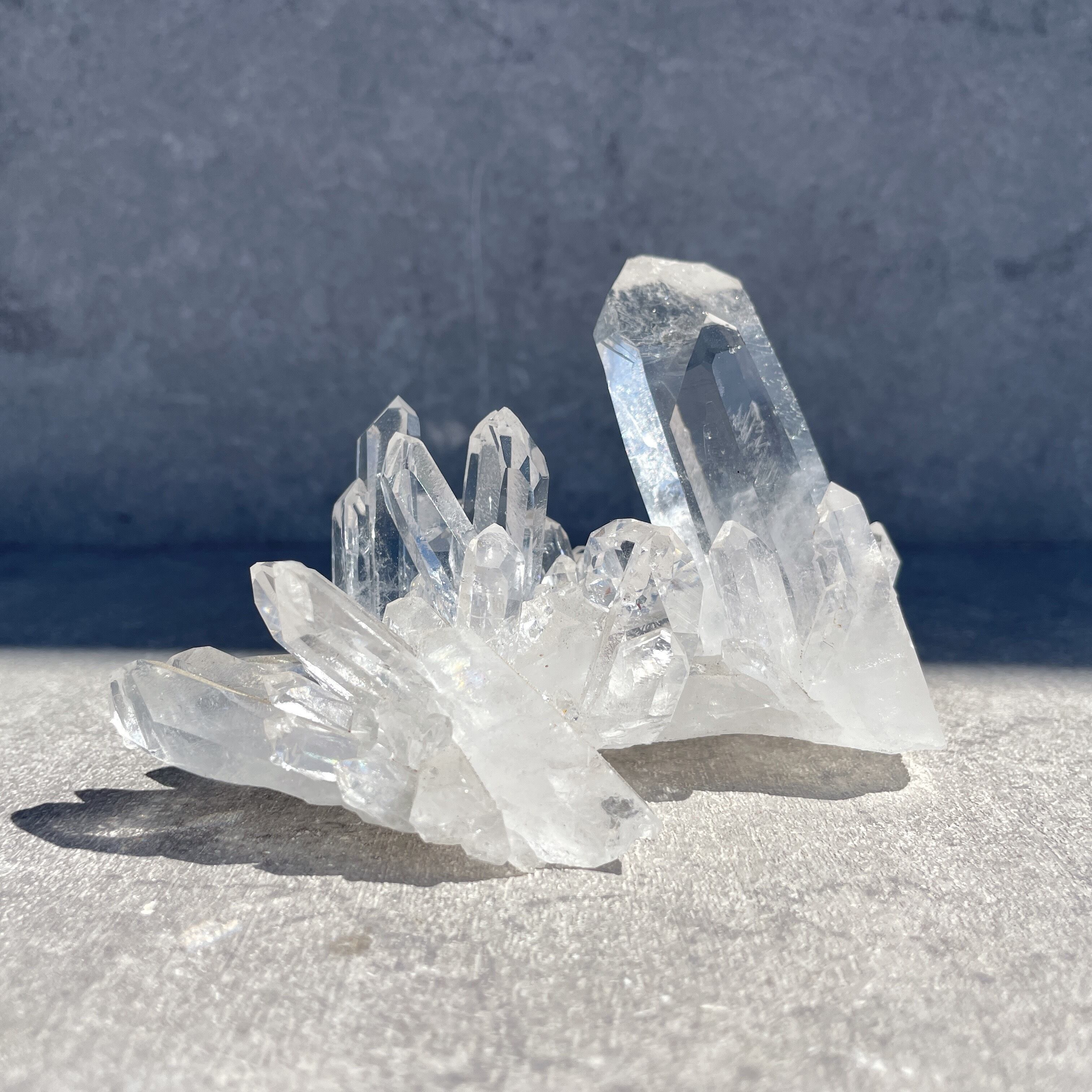 超貴重　ゼッカデソーダ　スターブラリー　クラスター 超貴重ゼッカデソーザスターブラリークラスターゼッカデソウザ