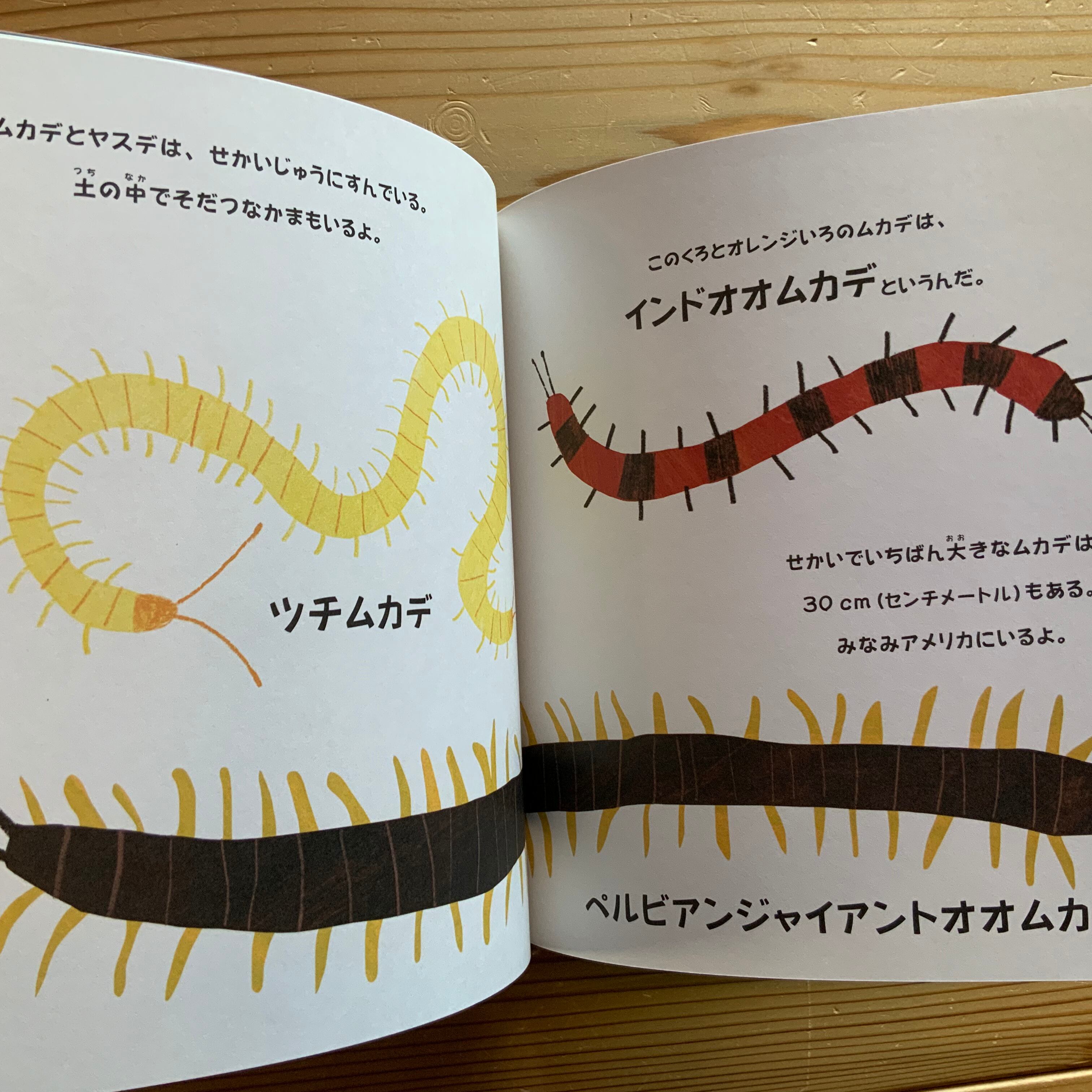 ムカデとヤスデ 絵本のこたち