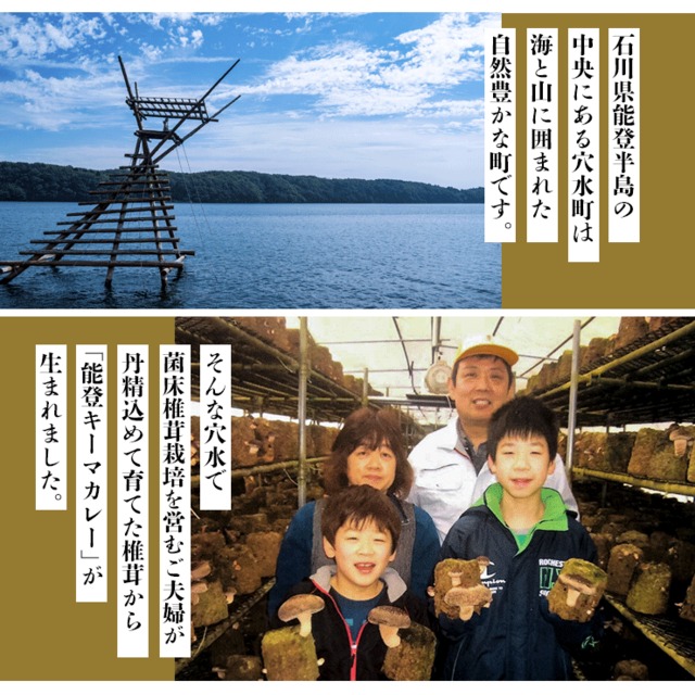 【能登応援/新発売】能登の素材を生かしたやさしい味わい 能登キーマカレー【常温品】