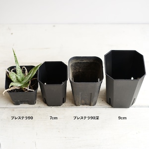 Flat Slit Pot 7cm ブラック 10個セット