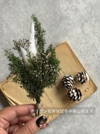 ミニスワッグ付き・ホリデージュエリー3点セット｜イヤーアクセ＆リング2点｜No.1