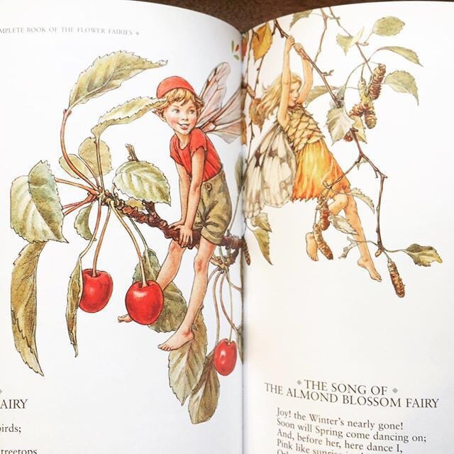 シシリー・メアリー・バーカー詩画集「The Complete Book of the Flower Fairies／Cicely Mary Barker」 - 画像3
