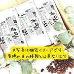セント・カトレアマウンテン (コスタリカ)600ｇセット