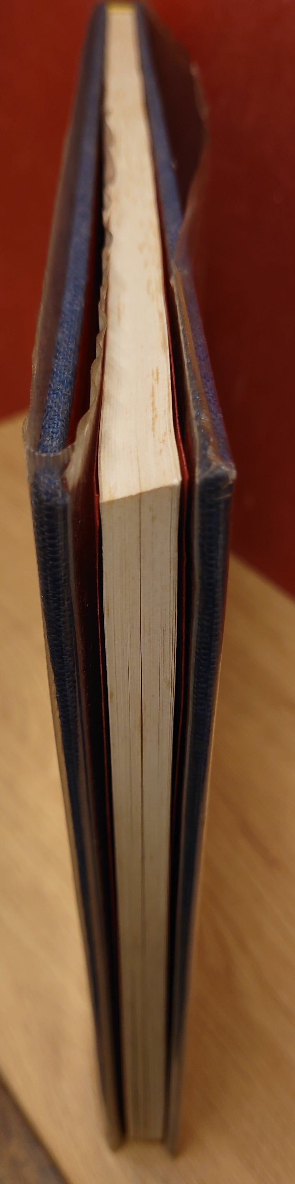 禅画の円相 | 弥生坂 緑の本棚