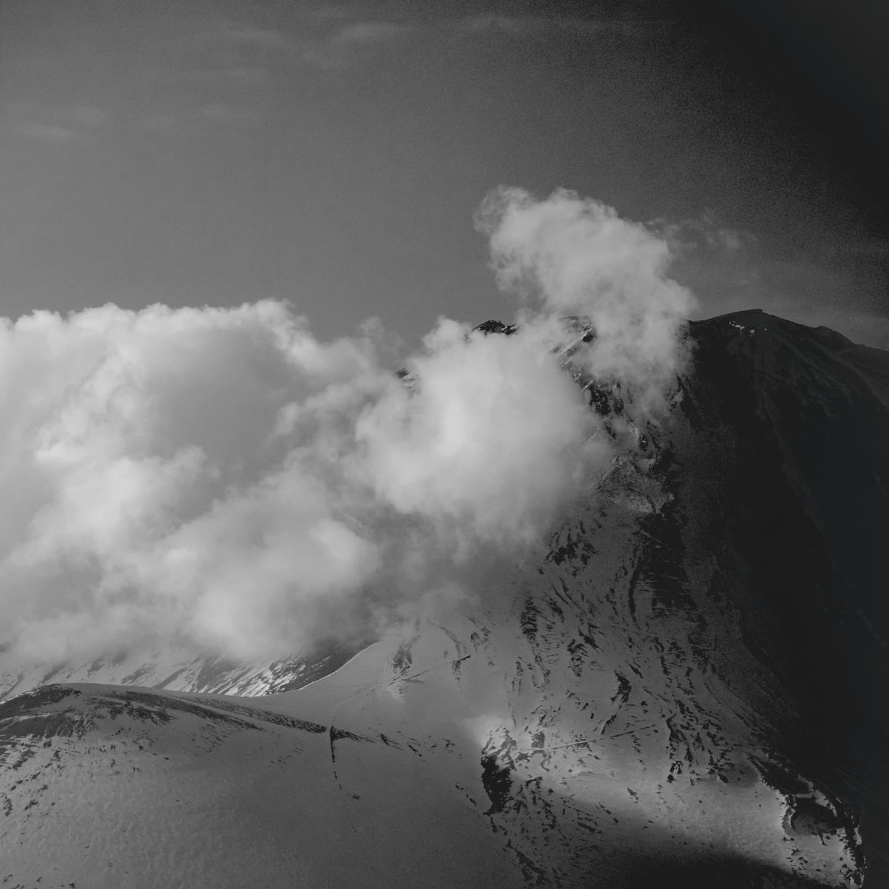 【リピート人気No.1】BEAST SMART 2+1 SET（約半年＋28日分・送料無料）