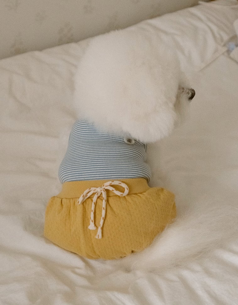 予約【noutti】Bebe All-in-One（Yellow）