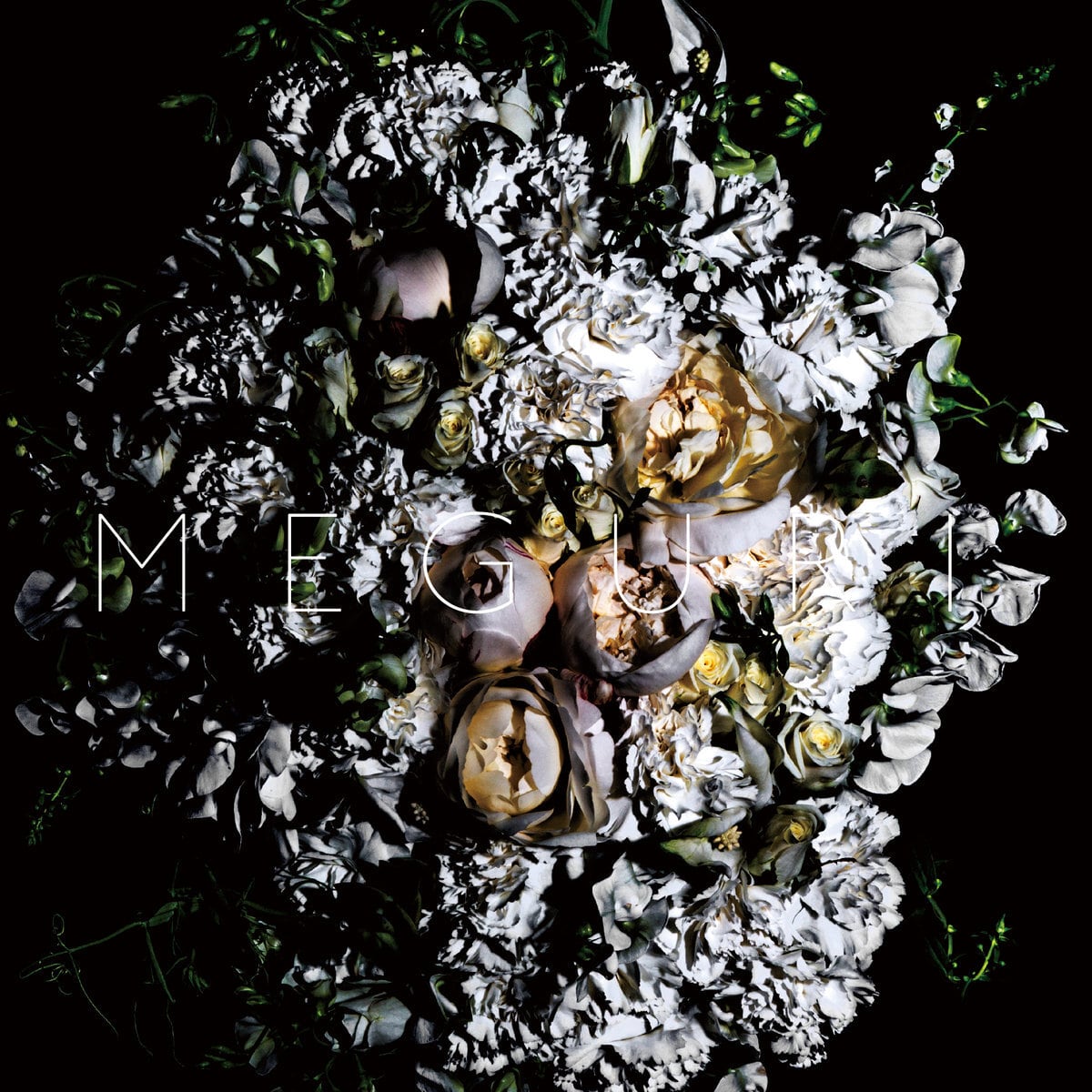 world's end girlfriend CDアルバム7枚セット Amazon.co.jp: The Lie