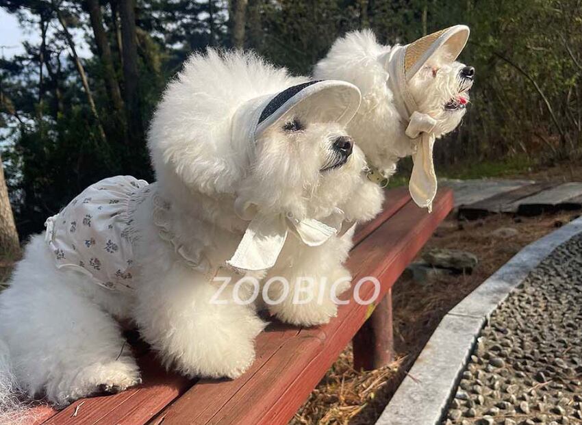 hellen bonnet hat 2color / 犬 麦わら帽子 ドッグウェア 小型犬 中型犬 犬帽子 犬の帽子 夏 サンバイザー 麦わらボンネット帽子 韓国 犬服 hat8