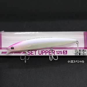 【新色】DAIWA ショアラインシャイナーＺ セットアッパー125S 25.5g