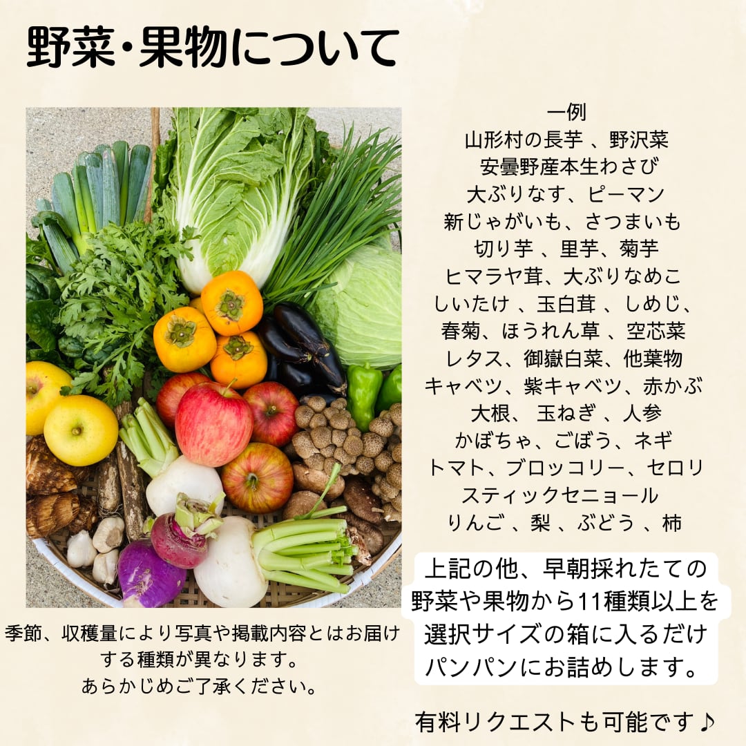 ≪野菜の詰め合わせセット 100サイズ≫　信州採れたて 減農薬栽培されたお野菜 | アルプス山麓あつまるしぇ powered by BASE