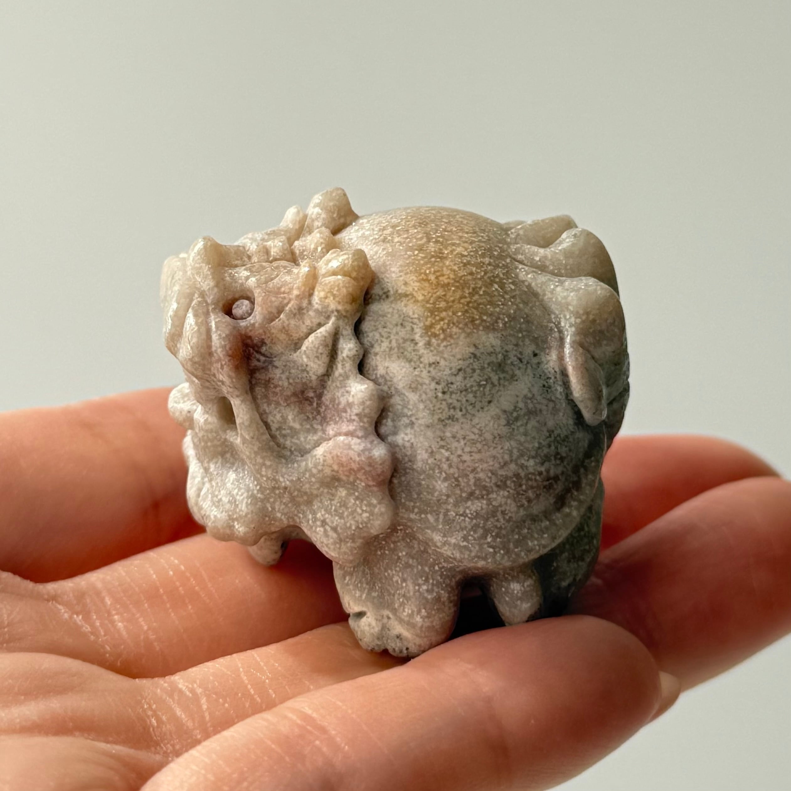 オーシャンジャスパー・ロングイ（龍亀） | Pay ID