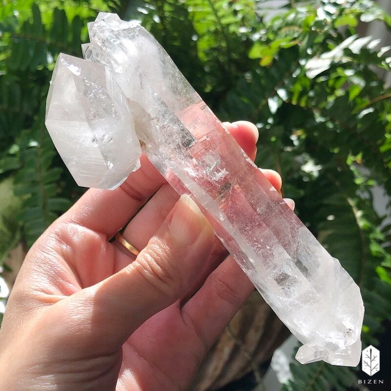 マニハール水晶 サボテンさん♪ | BIZEN Crystals