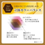 サロンドプロ 白髪染め オイルリッチクリームヘアカラー 5BB スタイリッシュブラウン [医薬部外品]