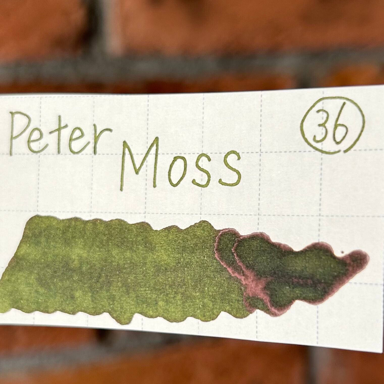 フェリスホイールプレス「(36)ピーターモス(THE BOOK SHOPPE