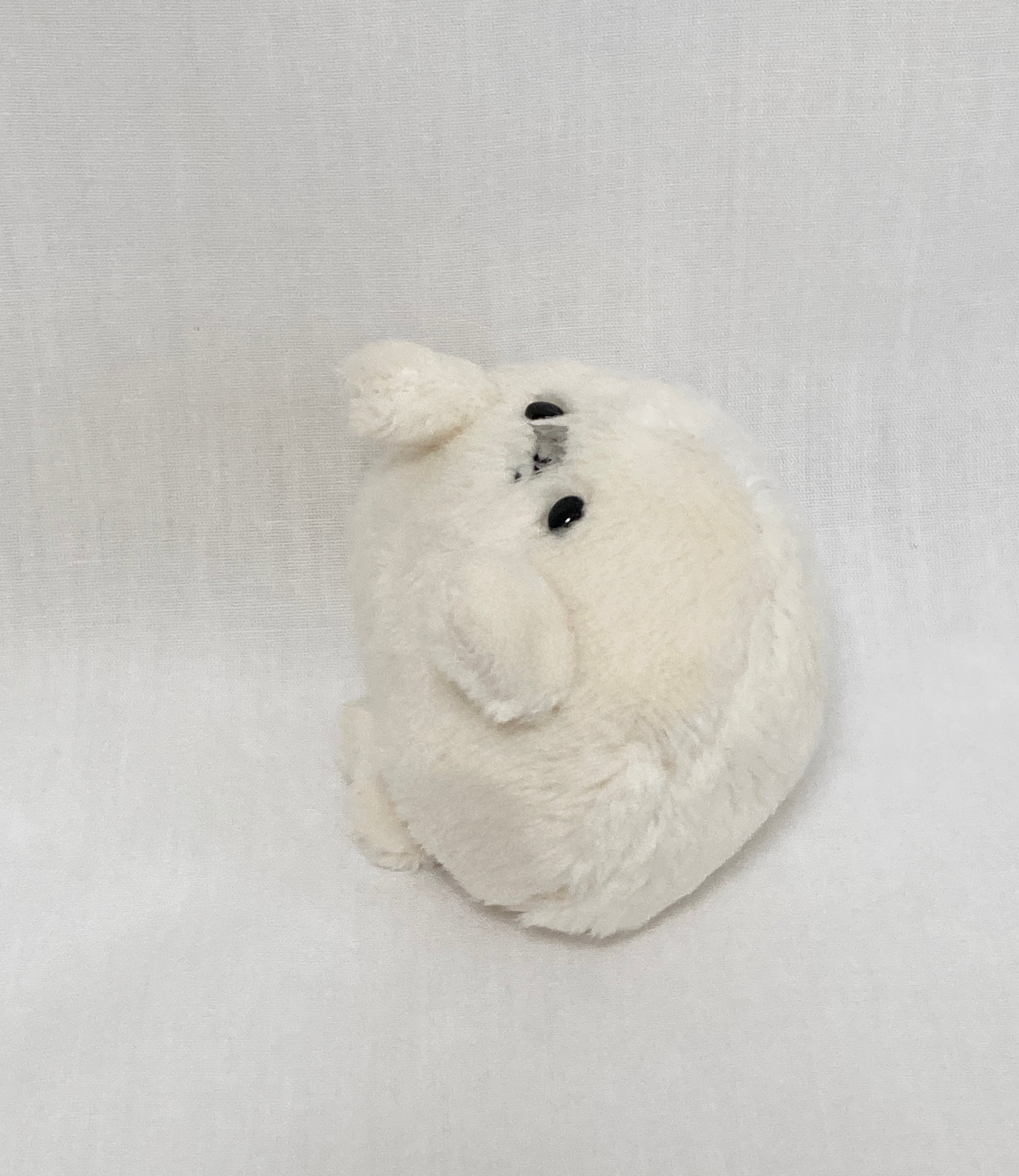 抽選販売】アザラシのあかちゃん（白） BASEで一度も購入できていない