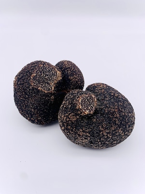 FRESH AUSTRALIAN BLACK TRUFFE（30g）