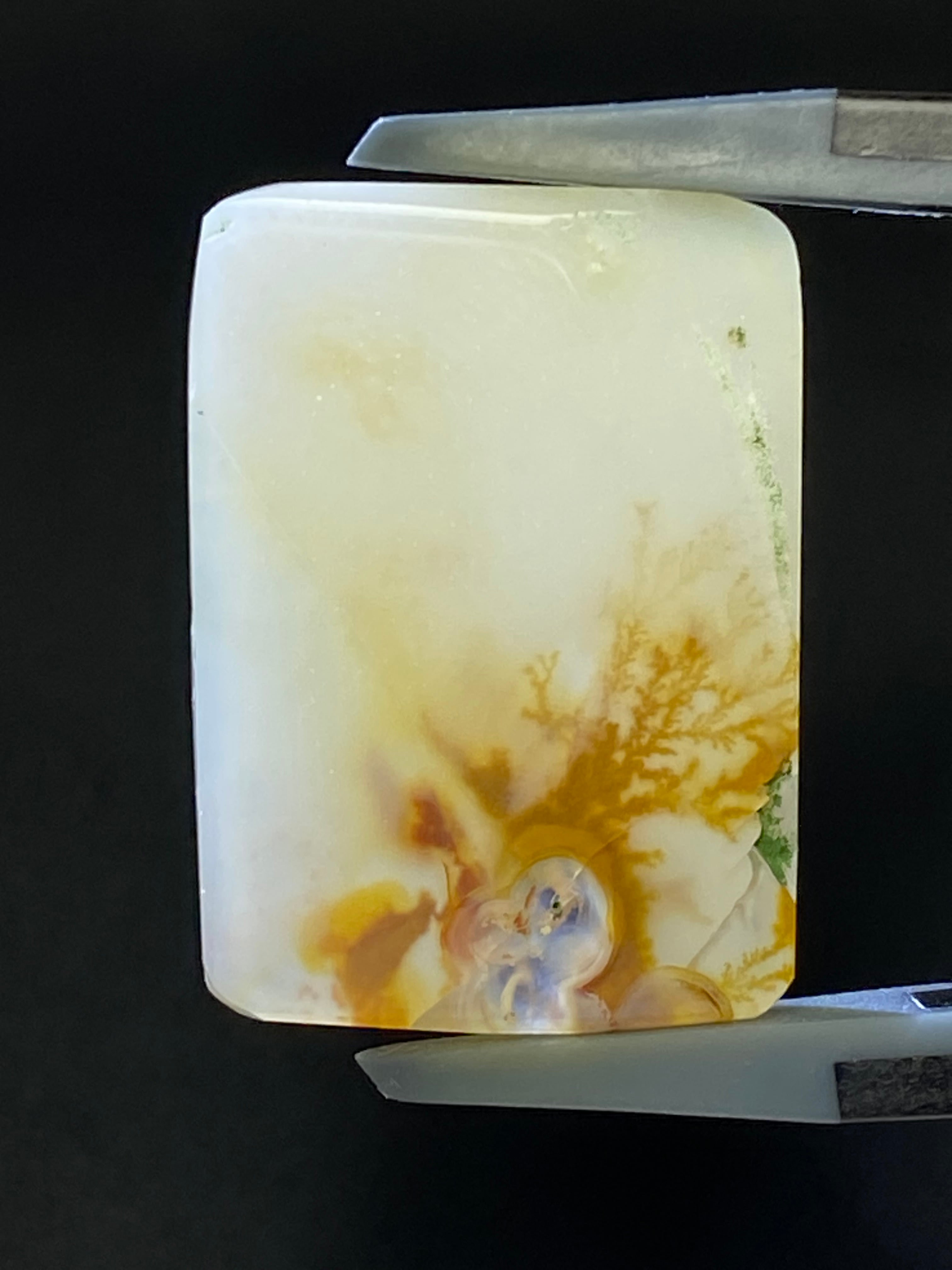 10.【￥2,000均一】デンドリチックアゲート［No.HA-3616］ | デザイン