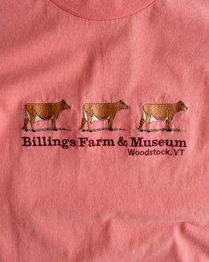 【古着】"Billings Farm & Museum" ジャージー牛3頭　刺繍 Tシャツ