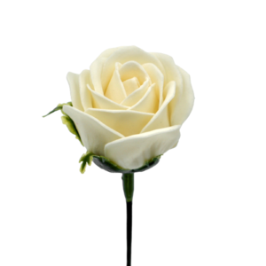 ジャナバラMJ-I1 薄アイボリー　(15輪入りor25輪入り)