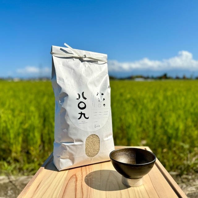 【釋永岳 × パークマンサー コラボ茶碗 1個】白米5kg 富山県産コシヒカリ