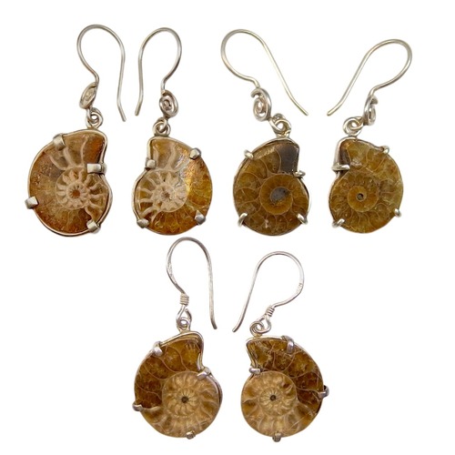 アンモナイト ピアス NSBE-003 SS ①-③