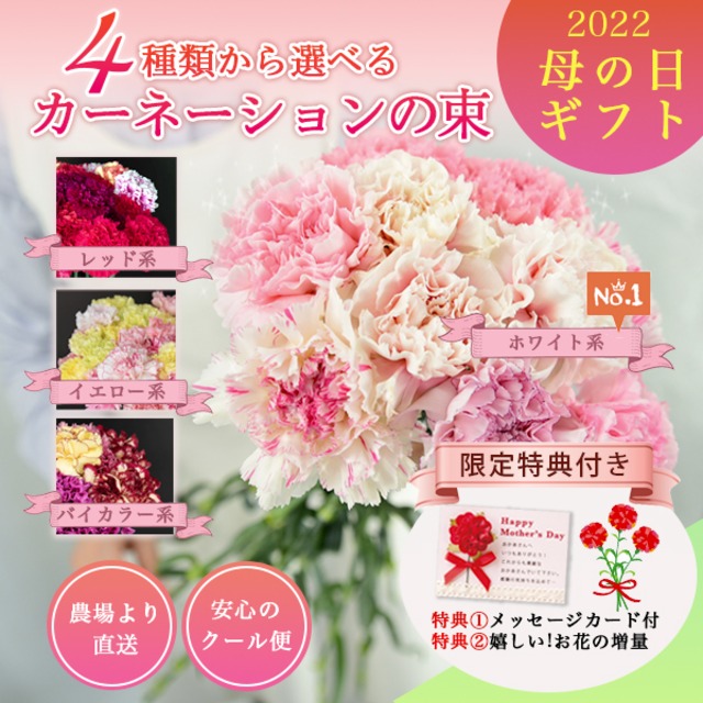 本 特典付 母の日 4種類から選べる大輪カーネーションの10本束 お母さんびっくり Tsuyoshi S Flowers