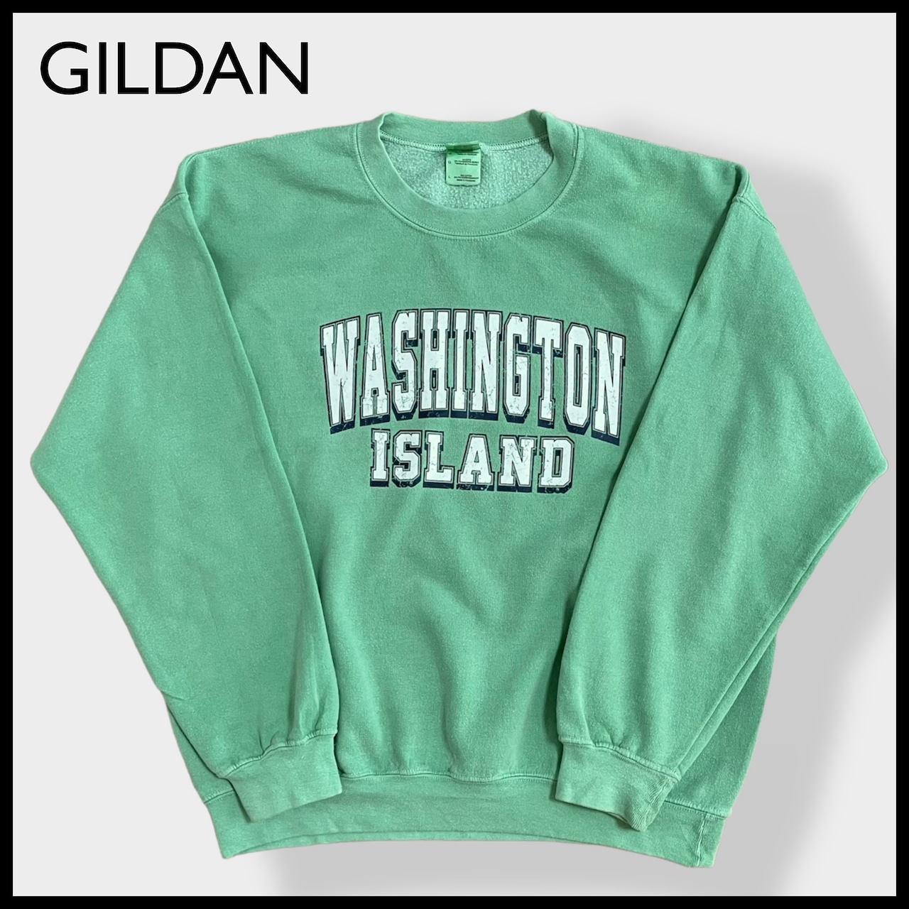 【GILDAN】WASHINGTON ISLAND ワシントン島ロゴ プリント スウェット トレーナー プルオーバー L ミントカラー ライトグリーン US古着