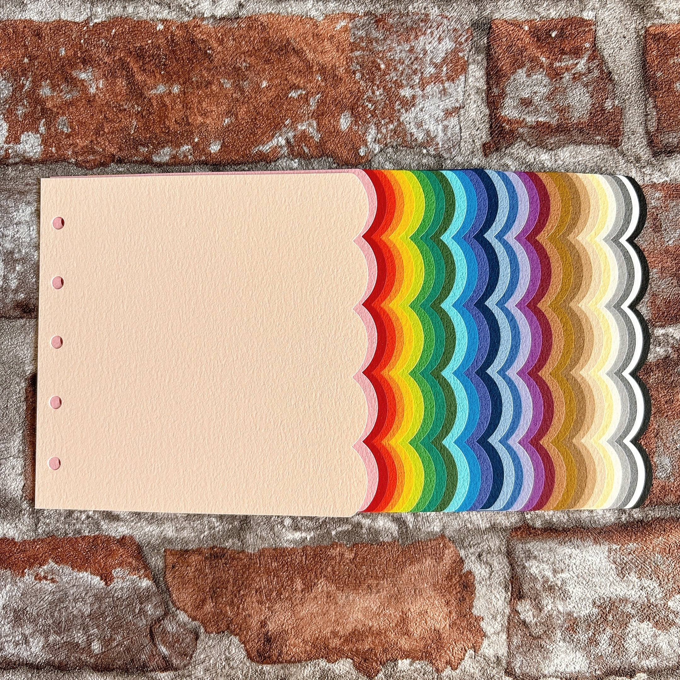 数量限定:タント紙 30色 M5スクエア【おかわりパック】もこもこリフィル システム手帳 リフィル