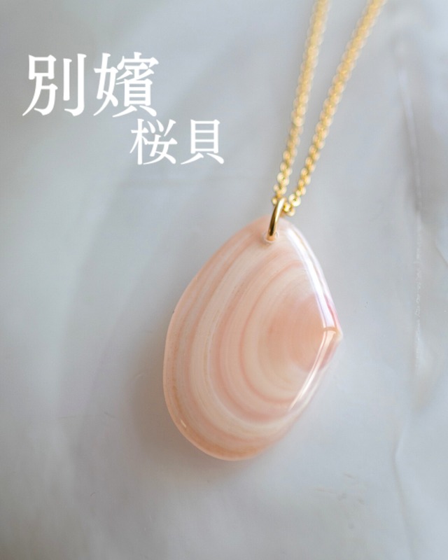 【別嬪桜貝】さくらひとえ ネックレス 14KGF オオモモノハナガイ #021205