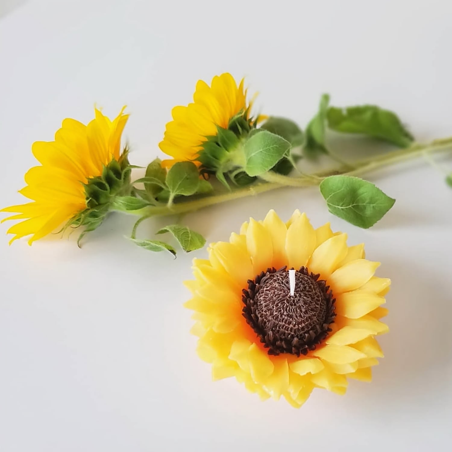 完売】ボタニカルキャンドル❁❀✿✾ ヒマワリ 【公式通販】