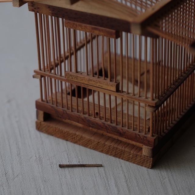 Insect cage